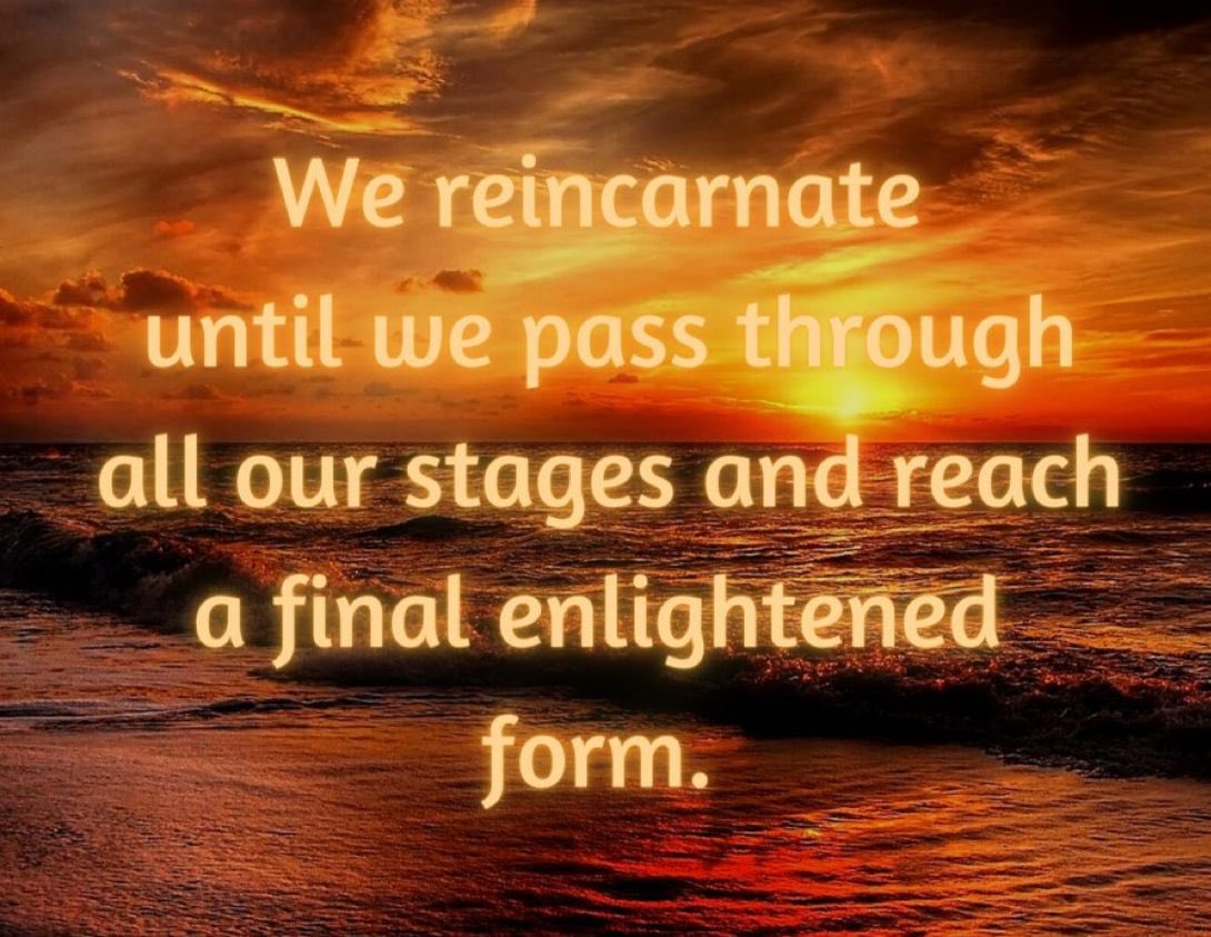 We reincarnate until we pass through all our stages and reach a final enlightened form.  #quoteoftheday #wisdomquote #spiritualquote #evolution #reincarnation #spiritualdevelopment #selfgrowth #purposoflife #finalcorrection #fullcorrection #eternity #infinity