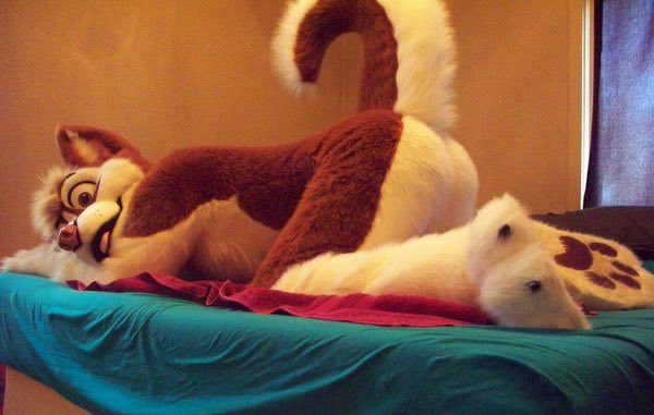 Curl, Butt and Beans! It's <a href="/jessethehusky/">Jessethehusky</a> &lt;3