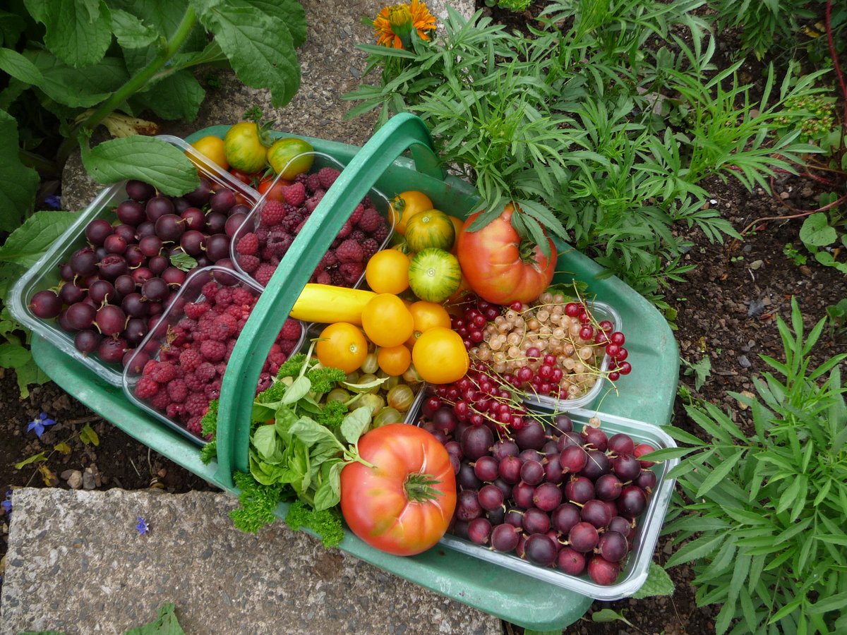 Come and celebrate local food, friendship and networks, today 20th June at 18:00 at the Climate Action Hub, 40 Bedford Street, Exeter. We'll explore how to design a resilient Food System; with Belinda Martin, and Carly Mays of Exeter City Futures. #localfood #foodexeter