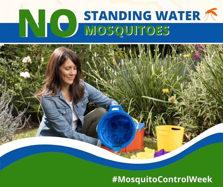 HCfightsthebite's tweet photo. Get rid of ALL sources of stagnant water. Even a childโs toy can attract mosquitoes! Letโs all do our part to be a #TipTossBoss this year.
No Standing Water = No Mosquitoes.
#MosquitoControlWeek #MosquitoWeek #NMCAW2023 https://t.co/ejkJi1ddYr