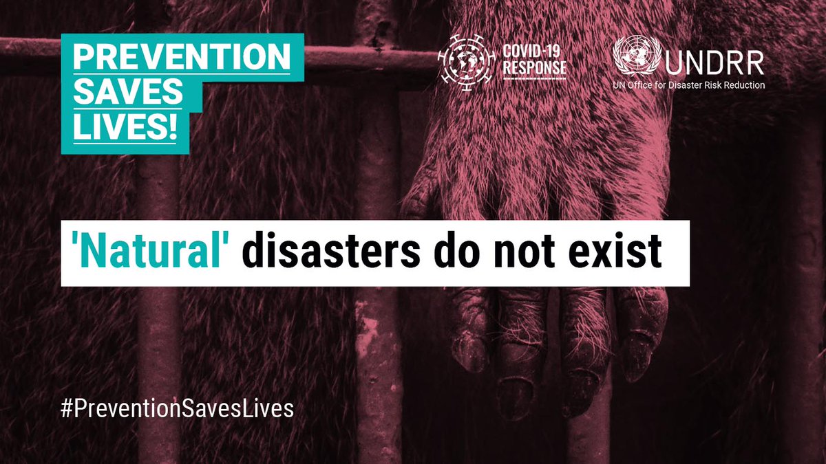 This report highlights a clear need to make the term 'natural disaster' redundant and replace it with an understanding that natural hazards lead to tragedy because of governance failures in areas like land use and building codes. #PreventionSavesLives ➡️ ow.ly/LH3o50ORIAx