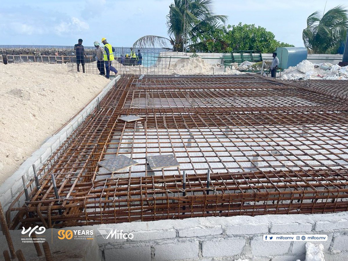 mifcomv's tweet photo. The foundation work has started for our 50MT Ice Plant with 100MT Ice Storage at GDH. Gadhdhoo. Stay tuned for updates of our ongoing projects! #ProjectUpdate #ColdStorage #InProgress #TeamMIFCO #MIFCOCommunity #BuildingOpportunities #IslandDevelopment https://t.co/by6rSZNMCD
