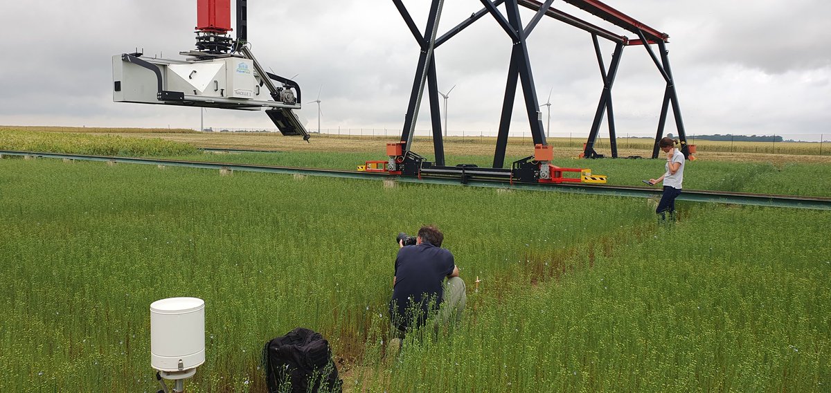 Ce matin c'était tournage vidéo 🎥 pour présenter la première expérimentation #lin #fibre mise en place cette année par <a href="/Arvalisofficiel/">ARVALIS</a> sous #phenofield.
