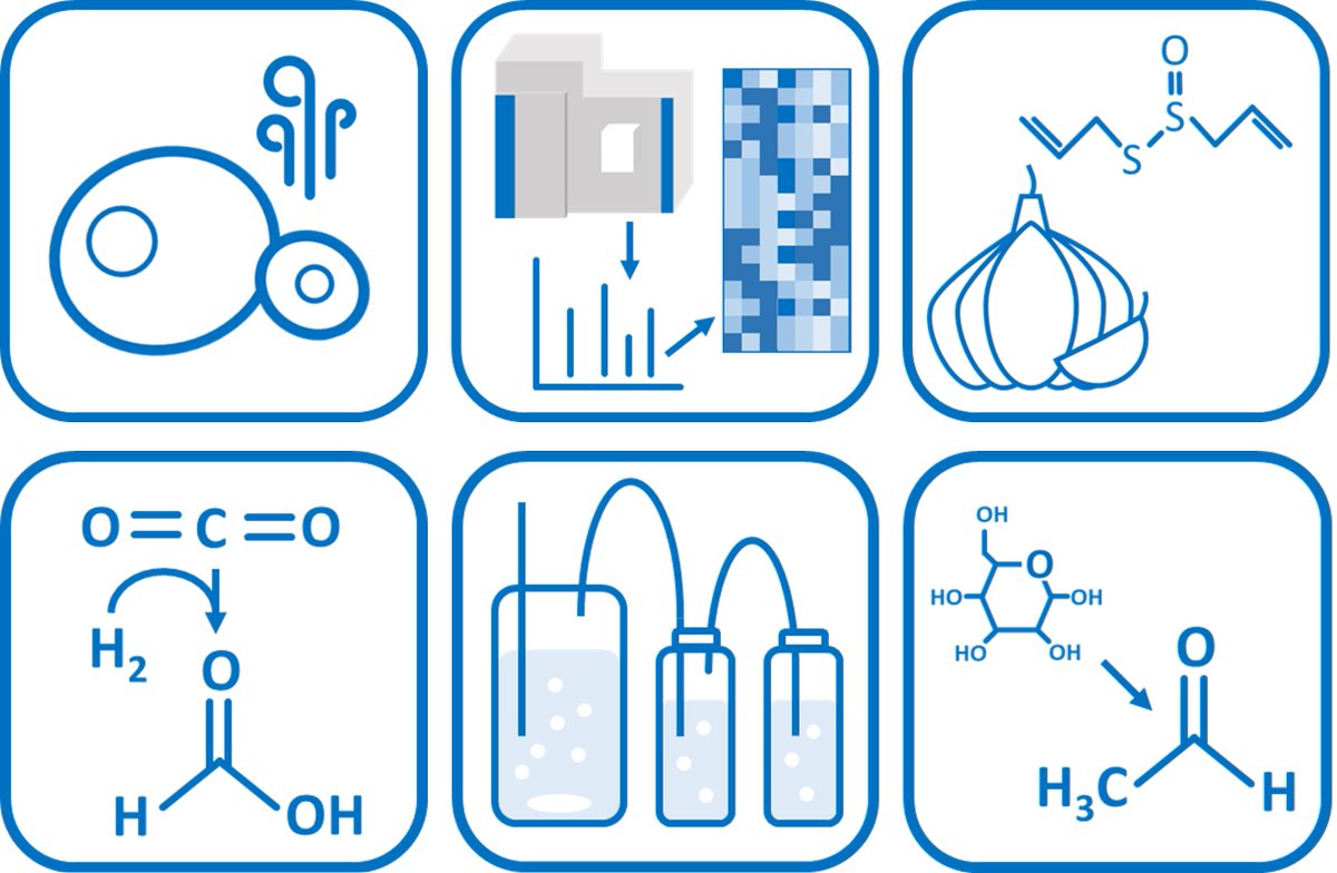 fuelsciencenter's tweet photo. 🎓We have news from our Cluster of excellence! This time it’s the doctoral thesis from our Member Hendrik G. Mengers, from the field of biochemistry 🧪. Read it here: https://t.co/vakPaT0hof
#clustersofexcellence #fuelscience #fuelsciencecenter #sustainability #research #fuels https://t.co/1BIhVbOCuM