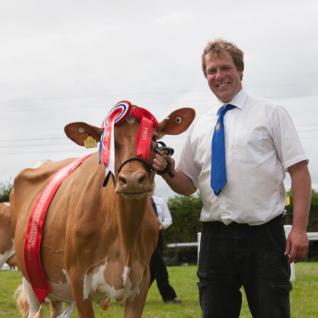 The Cattle Information Service (CIS) tweet media