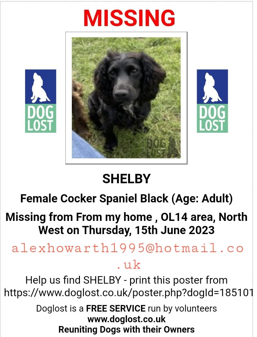 MissingPetsGB's tweet photo. π SHELBY is #missing #CockerSpaniel
From home in Walsden #Todmorden #OL14 since 15 Jun 2023. She has a little white bib on her chest & is microchipped.
https://t.co/oWoPoLBfck https://t.co/G5nS2a46ck