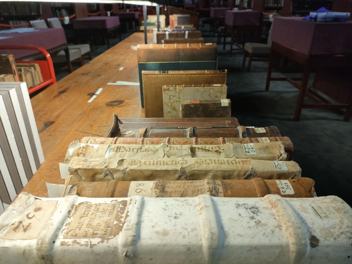 SCA_MULibrary's tweet photo. The Russell Library may be closed this week to readers (June 19th-23rd). But our team is busy giving our collection much needed care and attention. Our doors will be open again Monday 26th June. Thank you. #SpecialCollections #RussellLibrary #RareBooks #Conservation https://t.co/Qi3XUQ6qKl