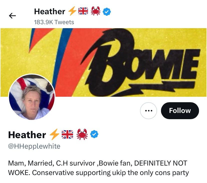 As a lifelong David Bowie fan, I can confirm that he was very “alert to racial prejudice and discrimination” — the definition of woke.

David married a Somali-American supermodel and fought against prejudice and discrimination all his life, he would think you an idiot Heather.