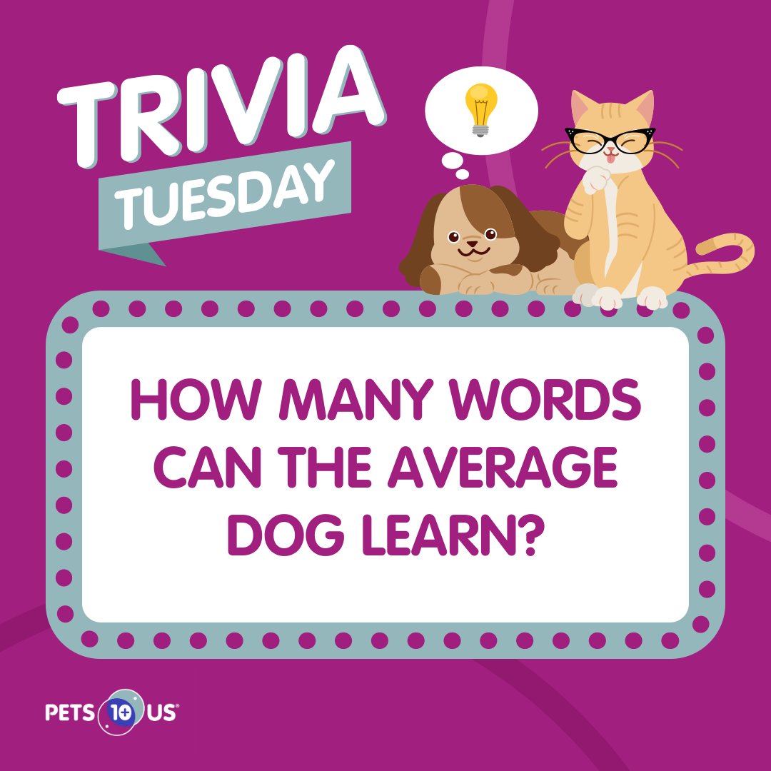 #Win a $25 PetSmart gift card! To enter, answer the question, retweet this post and follow <a href="/PetsPlusUsIns/">Pets Plus Us</a> by 11:59PM EST. Open to Canadian &amp; US residents (excluding QC). Ways to enter: petsplusus.com/terms-conditio…