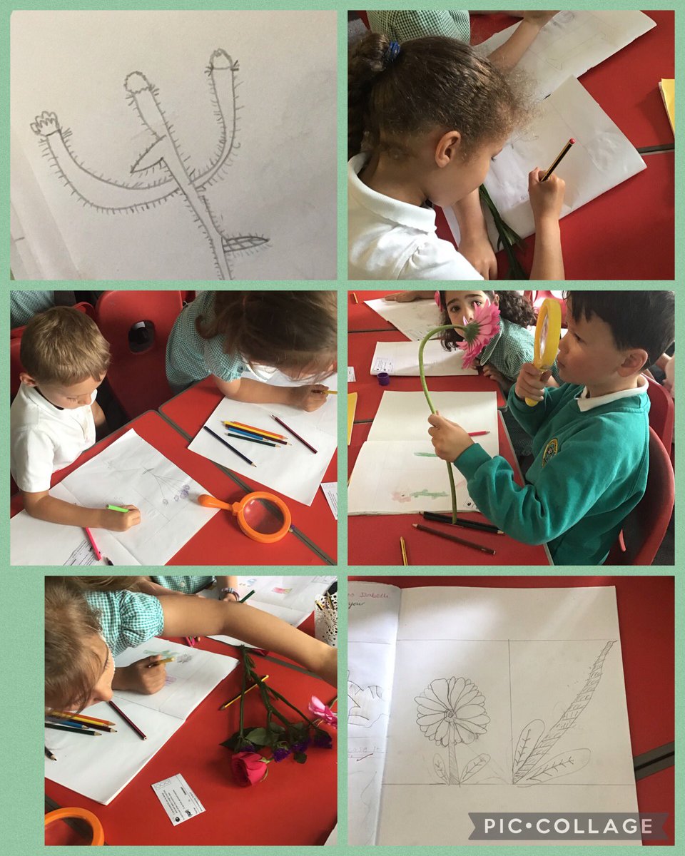 Year 1 Thornhill PS tweet media