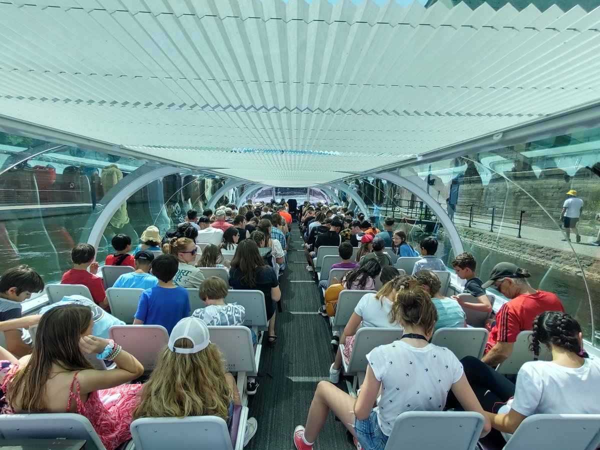 CE2 Cedric tweet media