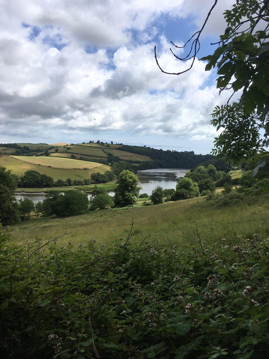 Gorgeous walk down the Dart from Totnes