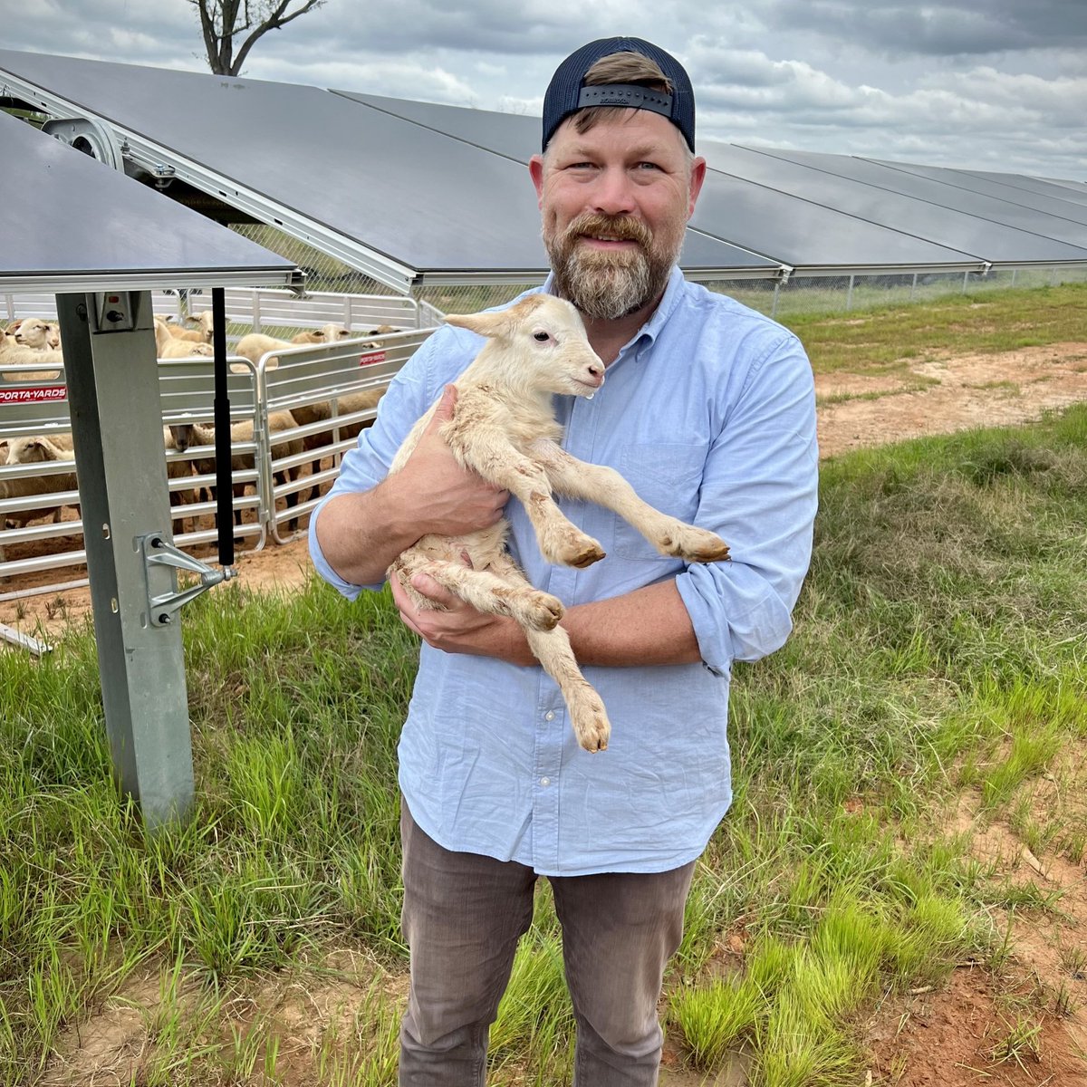 SiliconRanchCo's tweet photo. We are pleased to announce Nick de Vries' promotion to Chief Technology Officer and welcome him as an officer of the company.
Read more about Nick’s new role at Silicon Ranch to #MakeSolarDoMore here: https://t.co/3c9ZUP92F1 https://t.co/F7NmJOvveW