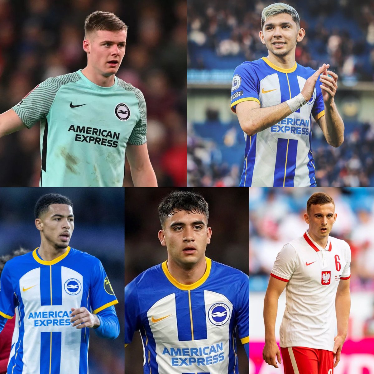 BrightonBubble's tweet photo. ⭐️ Congratulations to Evan Ferguson, Julio Enciso, Levi Colwill, Facundo Buonanotte and Kacper Kozłowski on all being nominated for the Golden Boy award!

#bhafc https://t.co/BygK9sJAc6