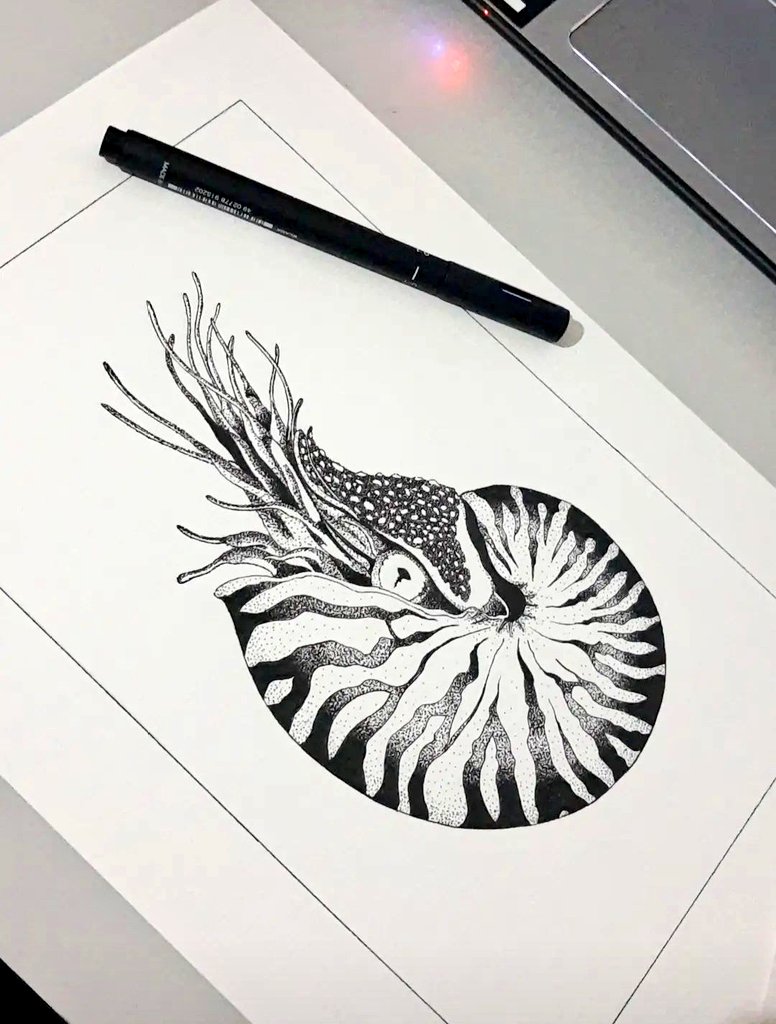 I've just finished my Nautilus using pointillism 🥰