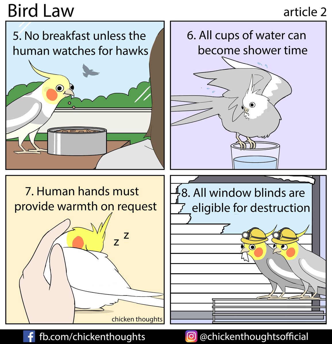 Bird Law article 2 starring Navarro, @kiwimoontiel (Instagram), Kiwi, and Kevin & Pippin. Submissions open, check my previous tweets for details.