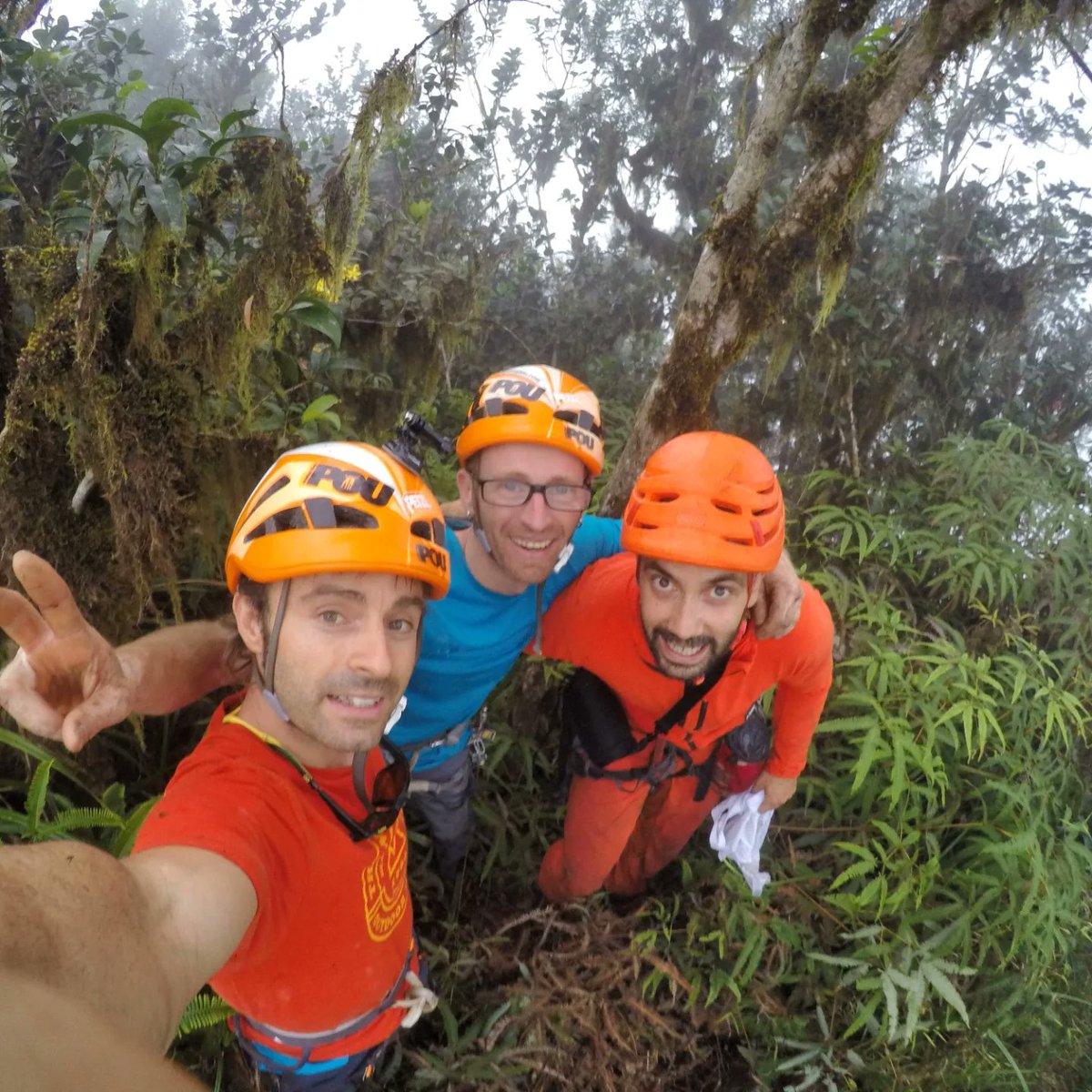 hermanospou's tweet photo. #TNF4ELEMENTS #Fuego La cima del #CaoGrande es una extensión de selva tropical a 600m del suelo. 🌿🤠🐍
The top of Cao Grande is an expanse of tropical jungle 600m above the ground.🌿🐍🤠
Junto al gran @jamoneyor💪💪
@thenorthface @sportiva @petzl @turismogc
#adventure https://t.co/L3TgMZdFWG