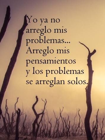 Escuela de Vida (@escueladevida21) on Twitter photo 