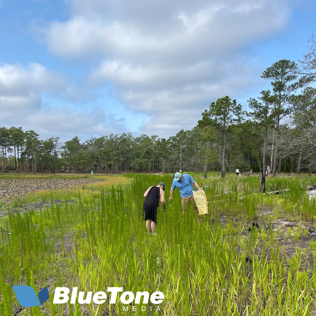 BlueToneMedia03's tweet photo. Proud to join @ThePlasticOcean at Carolina Beach State Park for a cleanup! 
Each step made a difference as we collected trash. For every 25 pounds, a tree is donated! 
Together, we can create a sustainable future. 🌊🌿 
Learn More 👉 https://t.co/Dg2YRH3FOX
#PlasticOcean #BTMFam https://t.co/P052inX1ZN