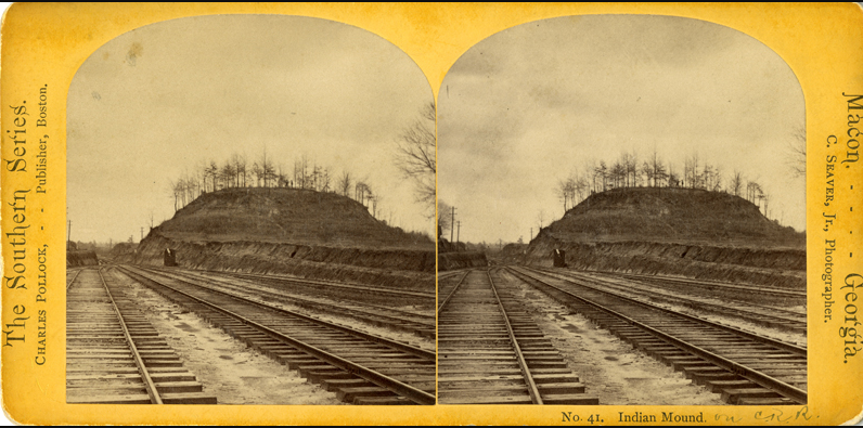 A fascinating image of Macon history from 1876.