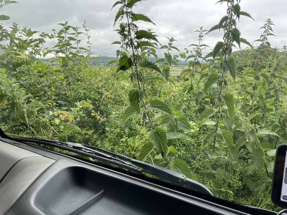 Removals Exeter tweet media