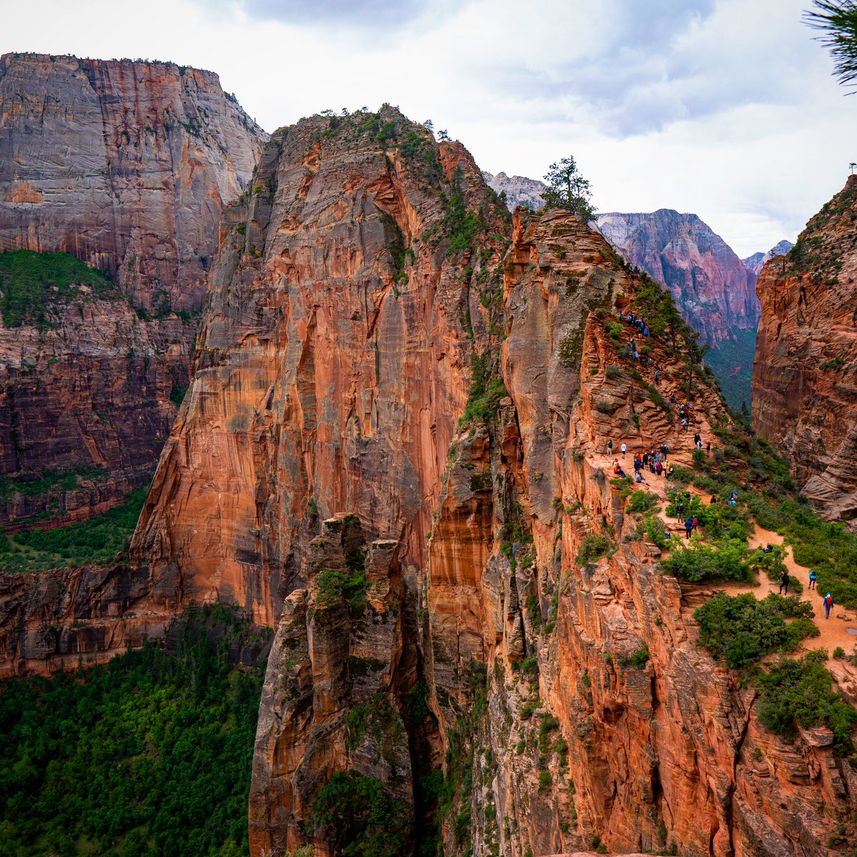 UtahIsAwesome's tweet photo. 📍 Angels Landing at Zion National Park– would you hike this?

#utahisawesome #Utah https://t.co/PgqyL7zgFZ