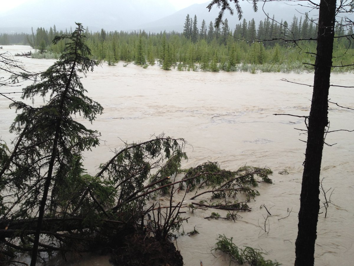 ecohydro_gal's tweet photo. Today marks the 10-year anniversary of the devastating 2013 Alberta Flood #2013albertaflood 🧵

Bow River, east of Canmore https://t.co/qy7fAVZgaa