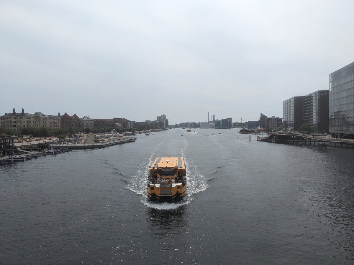 melanieganzbenjaminsen tweet media