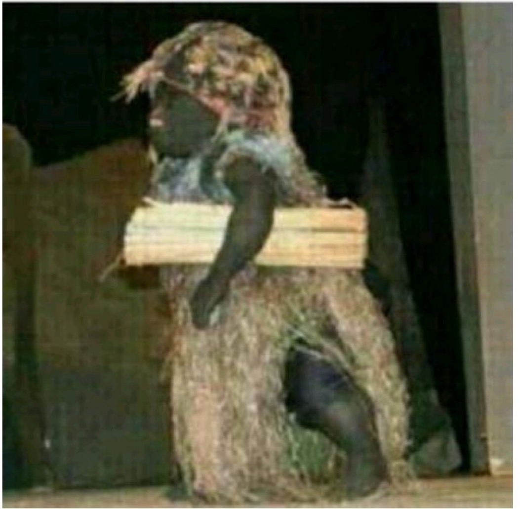 Nigeria Stories tweet media