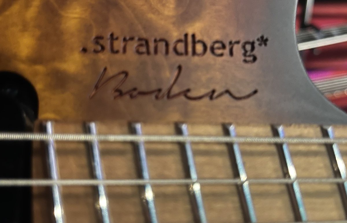 The Strandberg

#guitar #guitarplayer #guitarist #guitargear #straturday #metalguitar #rock #metal #progressiverock