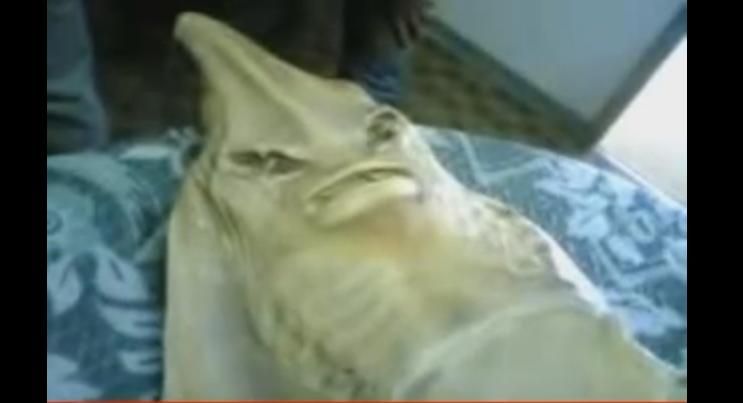 I belong to this era