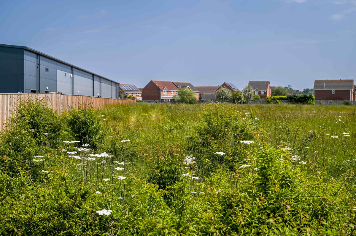lincsgateway's tweet image. We have been selected by @NELCouncil and supported by the @educationgovuk to run the new academies in Scartho and Waltham after a competitive tendering process.
Work due to start in Autumn with intended openings in Sep, 2024.
Read the full article ▶️ lincolnshiregateway.co.uk/news/trust-win…