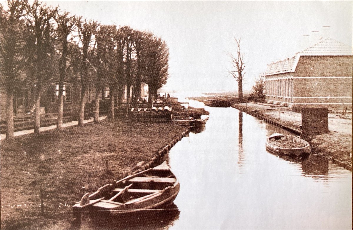 WormerWonen tweet media