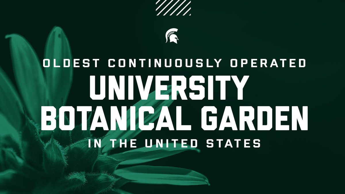 Proud of this. #GoGreen