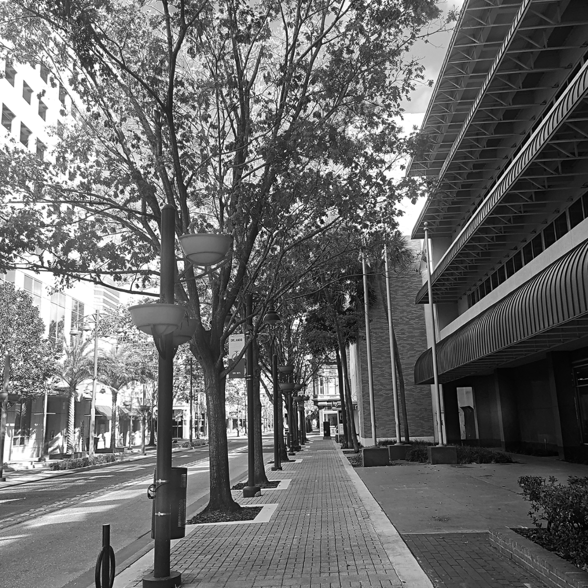 Project DTO tweet media