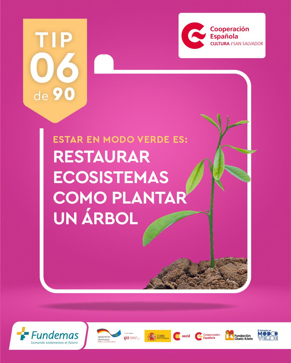 CCESV's tweet photo. #Tip6 de ¡90 Días en 🟢Modo verde! 📷📷 #ModoVerde #Sostenibilidad #CambioClimático #ElSalvadorVerde
@SvModo
@FUNDEMAS https://t.co/Bak2vUmTt6