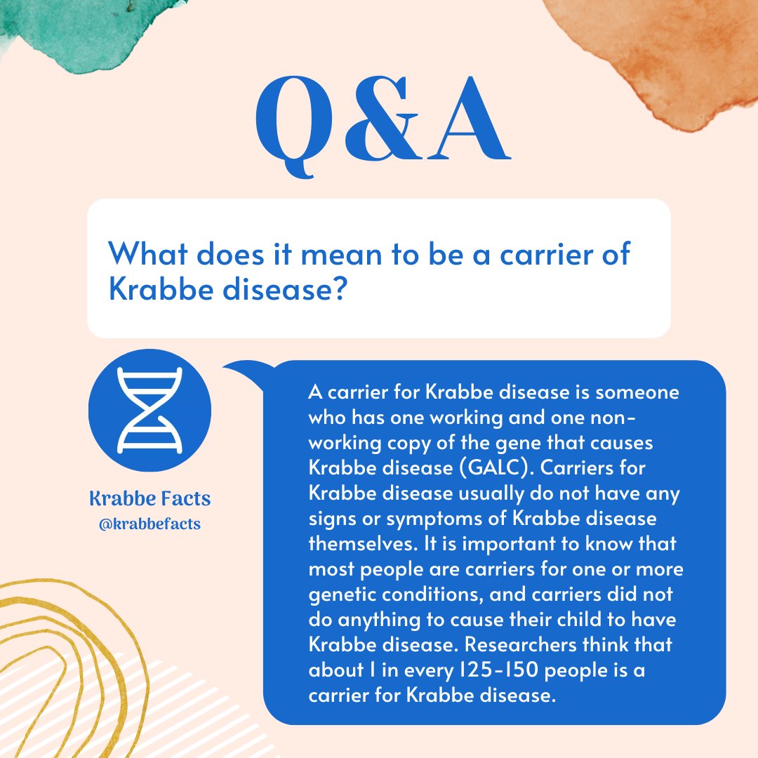 KrabbeFacts's tweet image. 🧬 Let's explore being a carrier of Krabbe disease. Having one working and one non-working gene copy (GALC) usually doesn't cause symptoms. Carriers aren't at fault; it's common for 1 in every 125-150 people to be carriers. Knowledge is power! 💙 #KrabbeFacts #Genetics