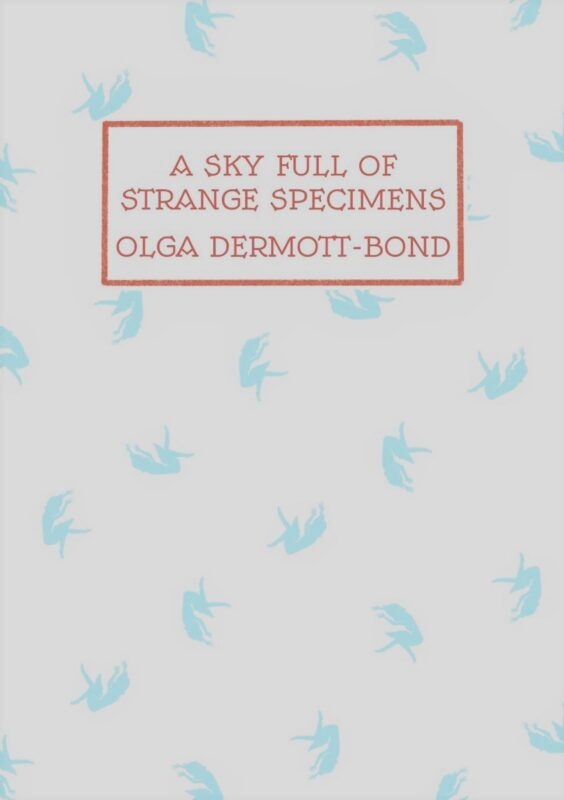 HereComesEvery1's tweet photo. Still not sure who to vote for as Best Reviewer of Literature in the 2023 #SabAwards?
Check out some of Stella Backhouse's #poetry #bookreviews, published with HCE mag!
https://t.co/WdCdLFqRbT
https://t.co/2WtEnYst9a
https://t.co/YV8Ig4hI2p
@SabotageReviews @FoodCov https://t.co/i4KD4iMpYd