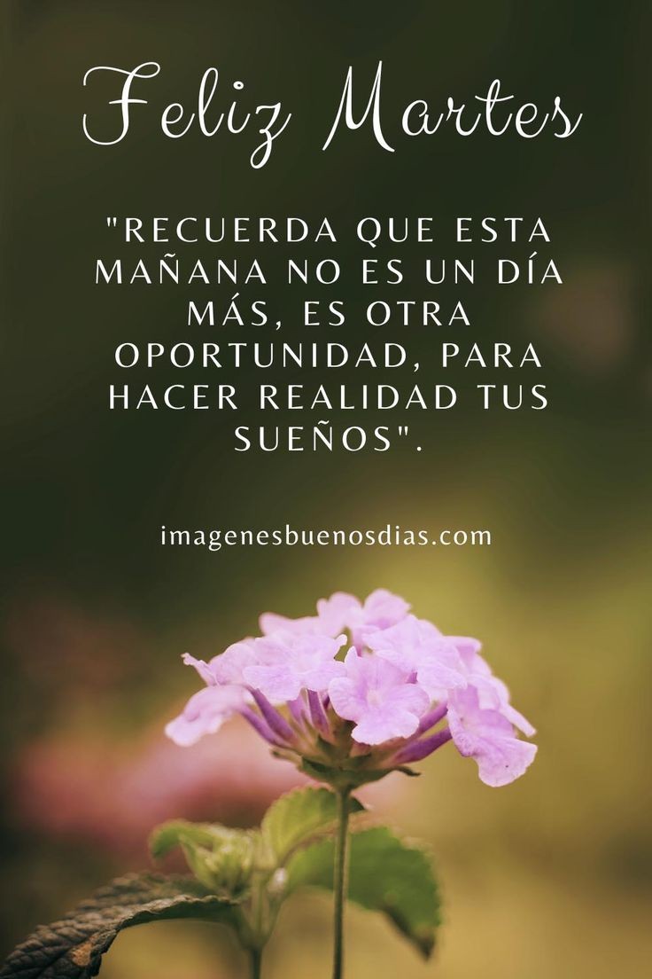 Que tengas un excelente Martes!
#FelizMartes