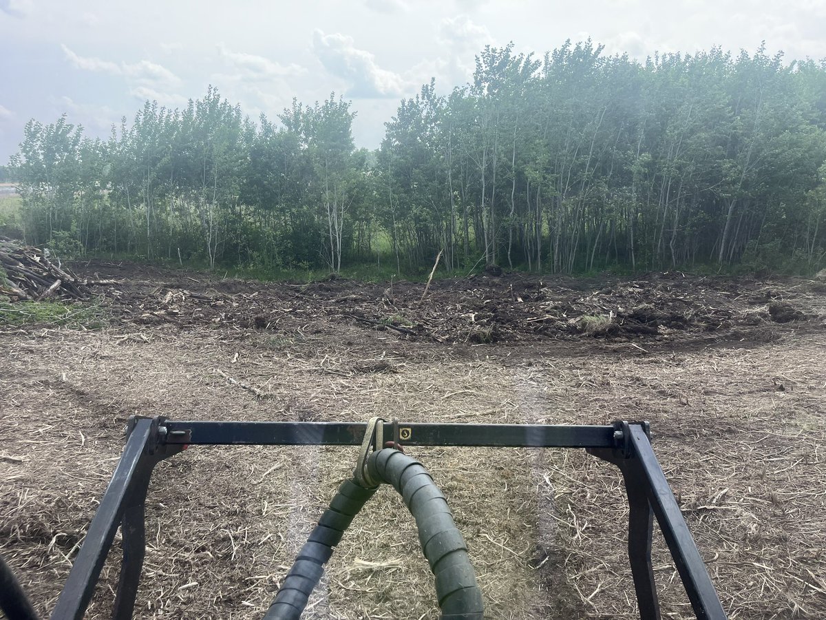 FarmboyVentures's tweet photo. These are a couple spots that had been cleared and raked. #mulched up the rest of the poplar and oak root. This is where the carbide teeth on the #FAE mulch head shine! https://t.co/Q8R1PL1JG0