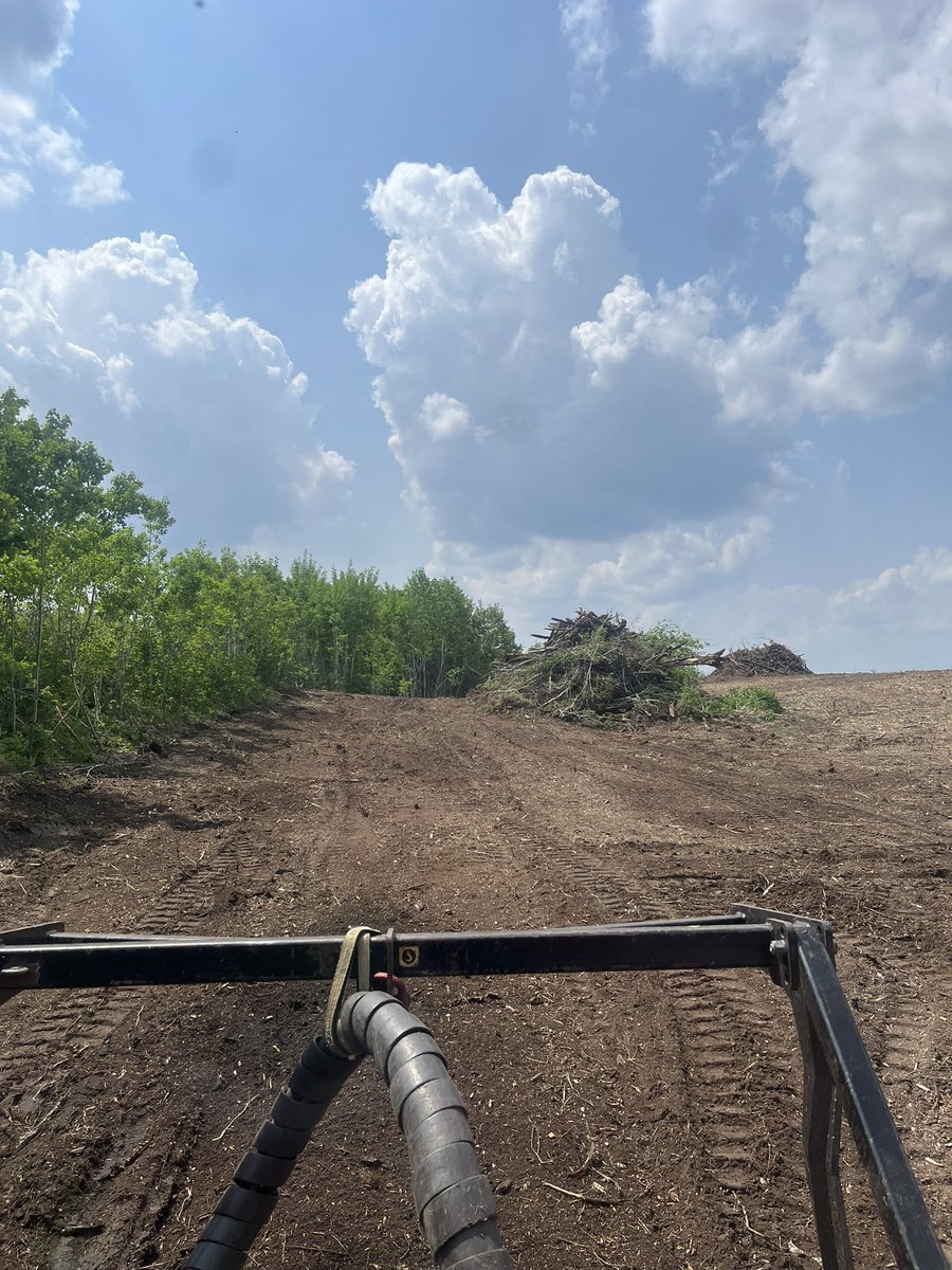 FarmboyVentures's tweet photo. These are a couple spots that had been cleared and raked. #mulched up the rest of the poplar and oak root. This is where the carbide teeth on the #FAE mulch head shine! https://t.co/Q8R1PL1JG0