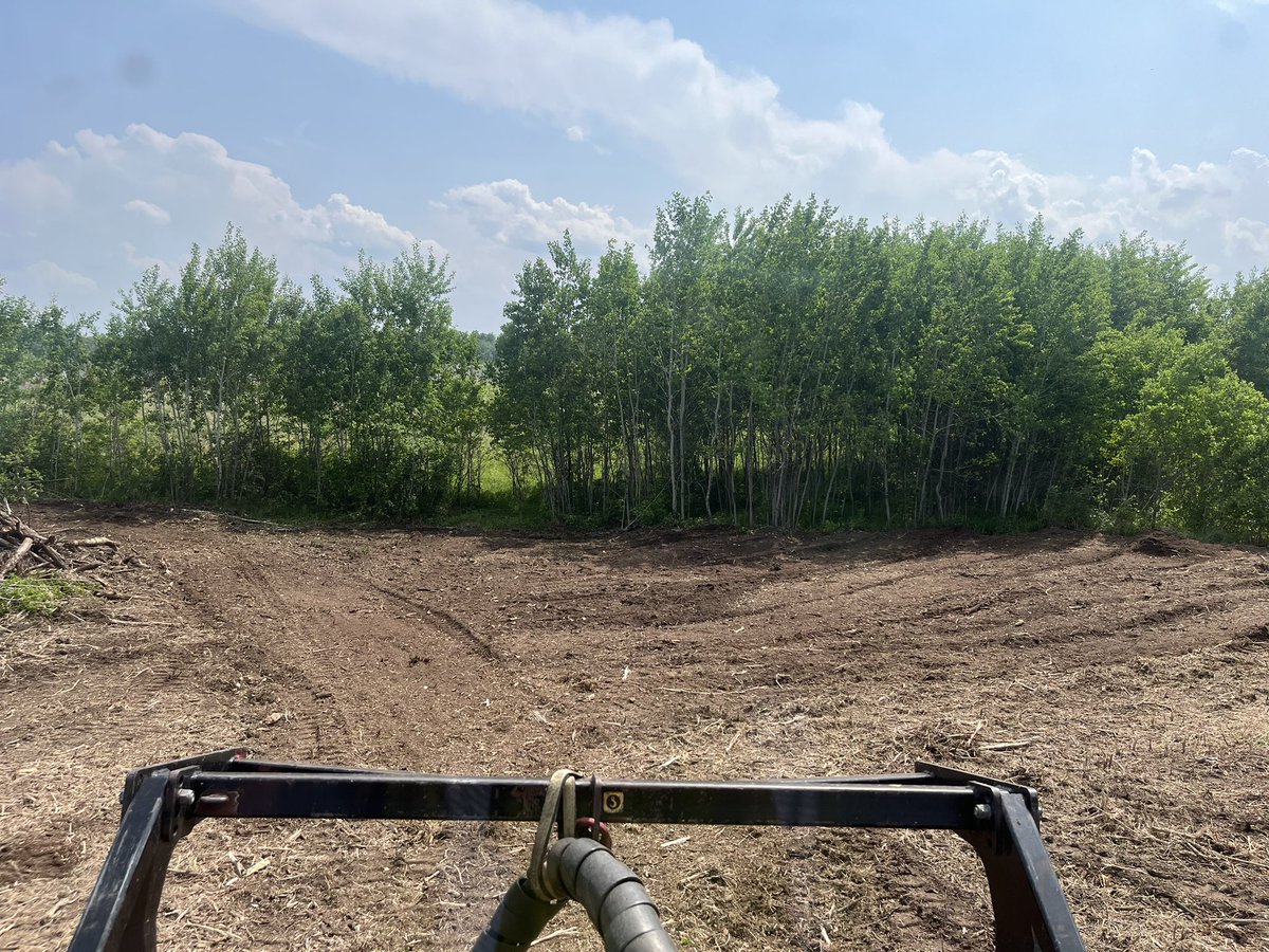 FarmboyVentures's tweet photo. These are a couple spots that had been cleared and raked. #mulched up the rest of the poplar and oak root. This is where the carbide teeth on the #FAE mulch head shine! https://t.co/Q8R1PL1JG0