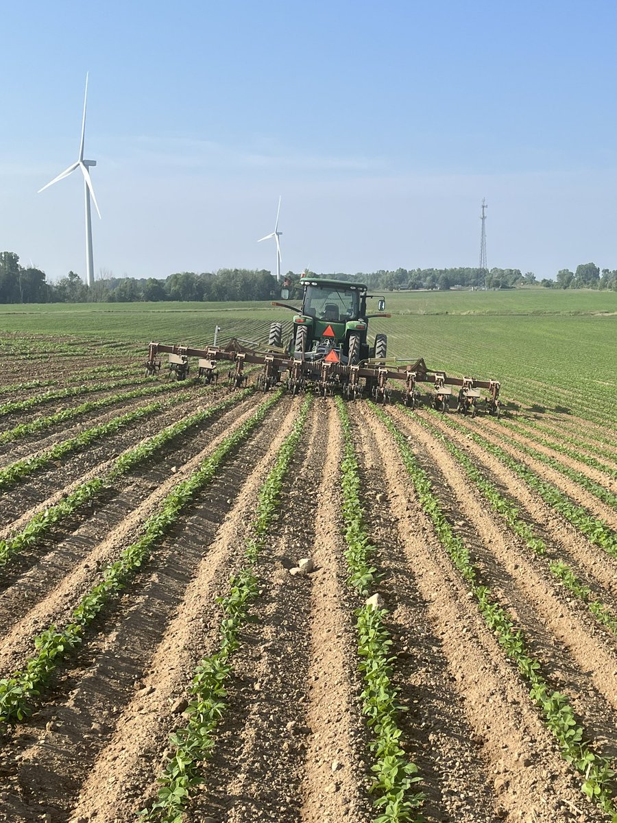 Adam Bissell tweet media