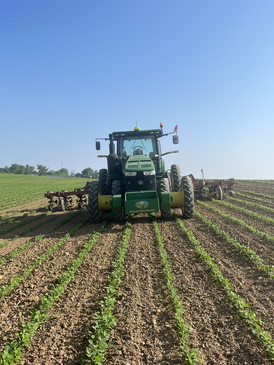 Adam Bissell tweet media