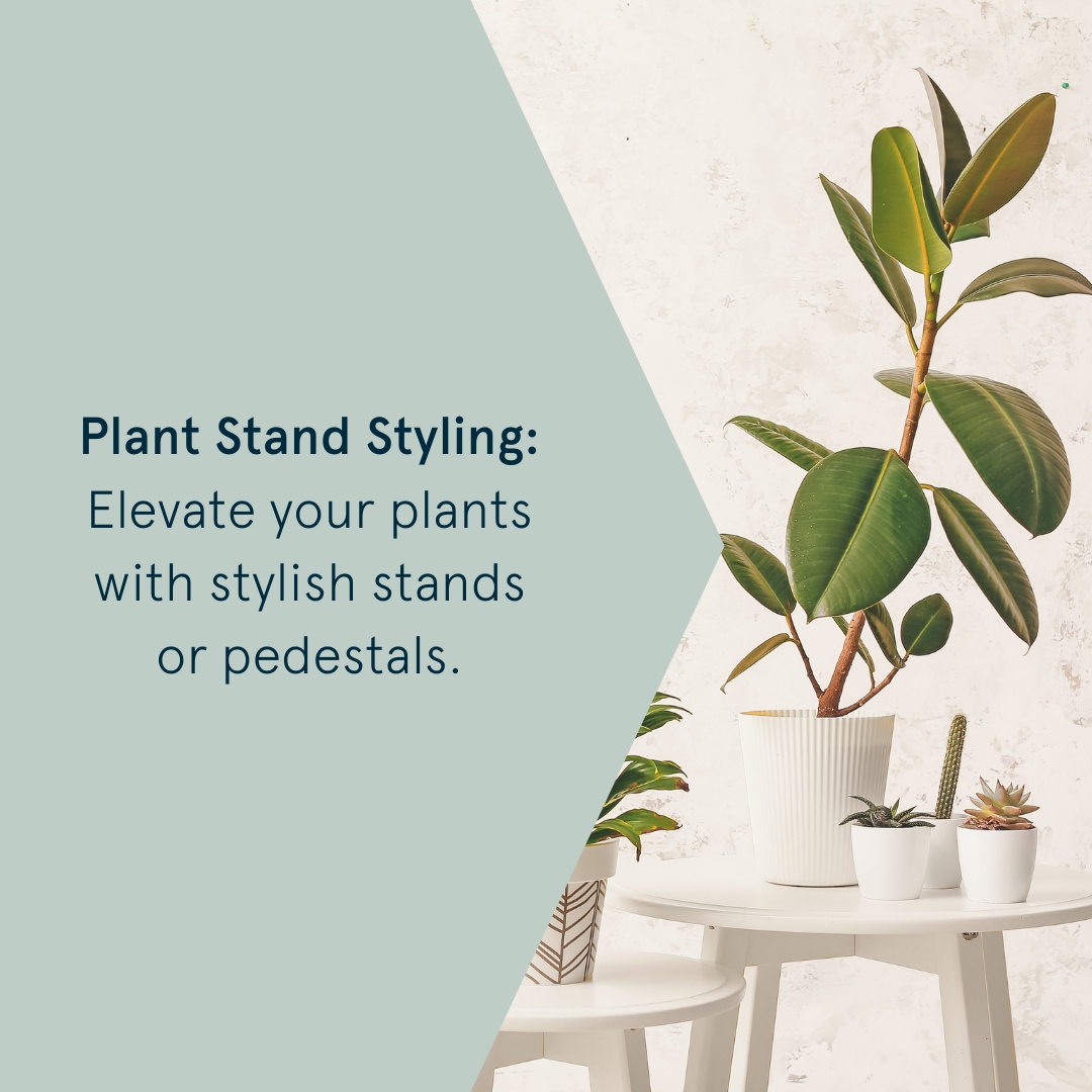 🌿 Calling all Plant Lovers! 🌿
Share your favorite plant decorating tips in the comments below and inspire others to embrace the plant life! 🌱 
#plants #greenbeauty #houseplants #indoorjunglevibes #indooroasis #indoorgarden #teamcitychic #meldabates #citychicfxbg