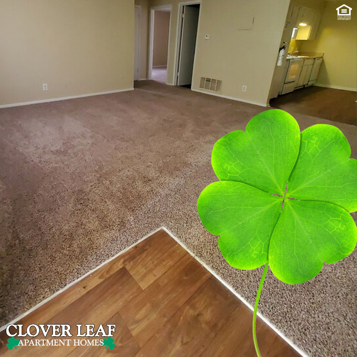 When you live at #CloverLeaf #Apartment Homes, you can count yourself one of the lucky ones! 📍🍀

👉 From plush #carpeting and sleek #woodflooring to spacious #livingrooms and well-equipped #kitchens, life is made comfortable and easy. To see more, visit cloverleafal.com.