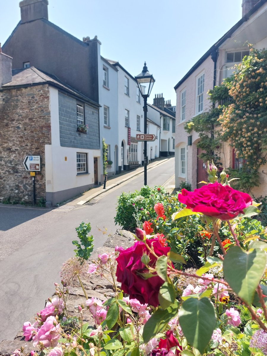 Castle Street, Totnes in the sunshine.
If you're visiting the town, it's well worth taking a stroll down some of the side streets for pretty views like this.
#exploring #devon