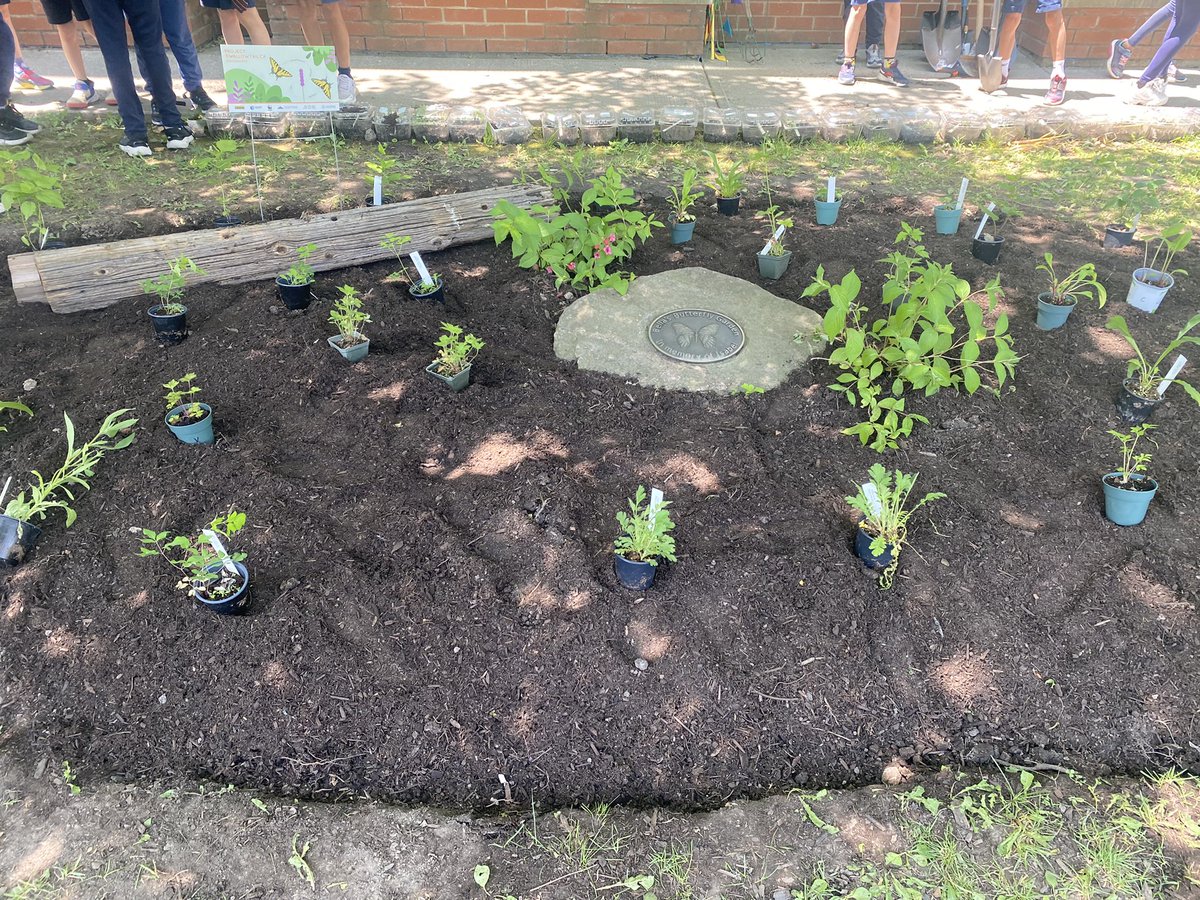 Sandra Morassutti tweet media