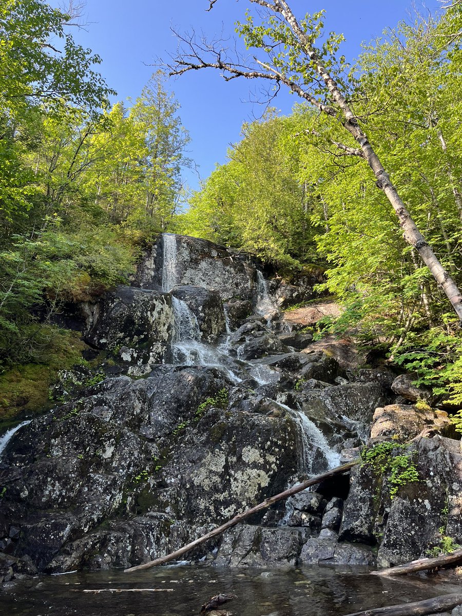 Sdunham72's tweet image. If you see me limping around today it’s probably a result of hitting 3 High Peaks yesterday. What a day! Over 10 miles, 4,300+ elevation gained &amp;amp; really sore quads. Was way too long since I’ve been to this special place. #Algonquin #Iroquois #Wright