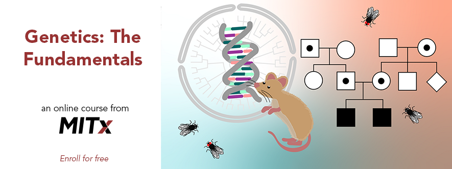 MITx Courses (@mitxcourses) on Twitter photo Explore the foundations of genetics and how to apply those concepts to understand modern studies of heredity in "Genetics: The Fundamentals" from <a href="/MITxBio/">MITx biology</a>. Open now, self-paced.
Learn more and enroll at bit.ly/3oVwGjK Explore the foundations of genetics and how to apply those concepts to understand modern studies of heredity in "Genetics: The Fundamentals" from <a href="/MITxBio/">MITx biology</a>. Open now, self-paced.
Learn more and enroll at bit.ly/3oVwGjK